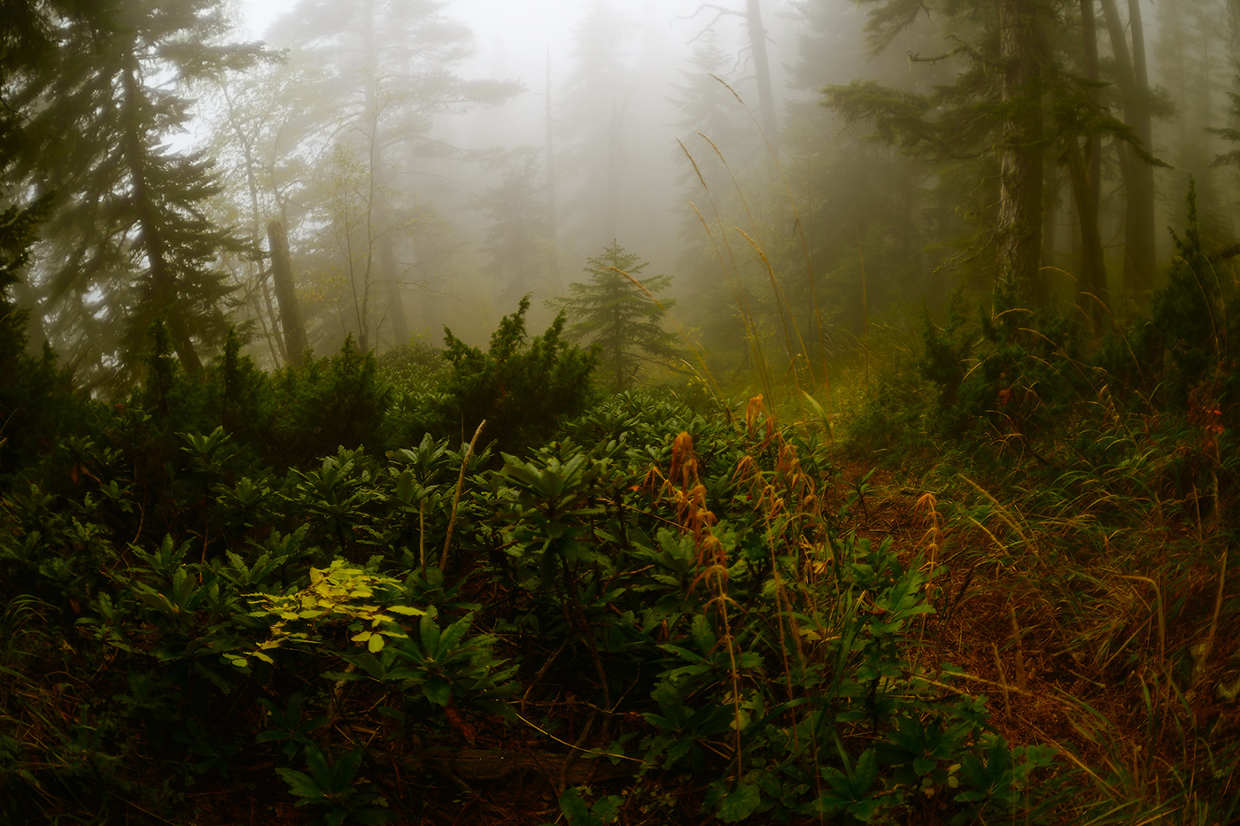 Встать пораньше ...