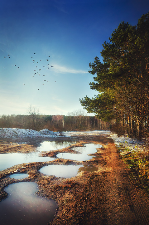 Год назад...