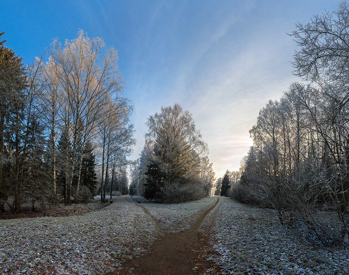 Тропинки в парке.