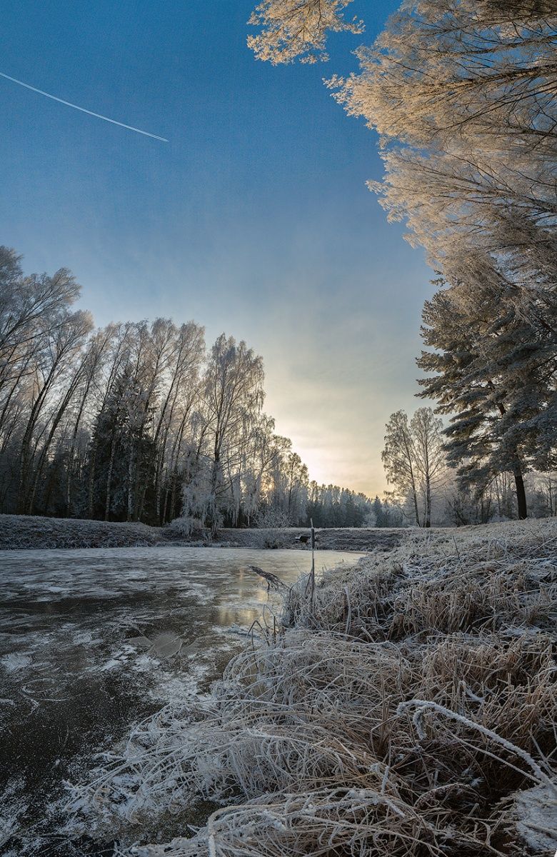 Иней в пейзаже.