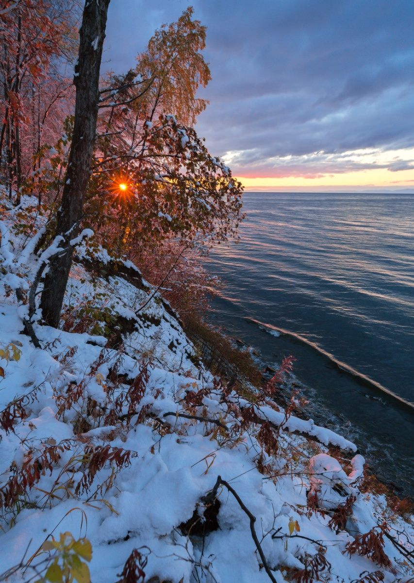 Янтарный свет.