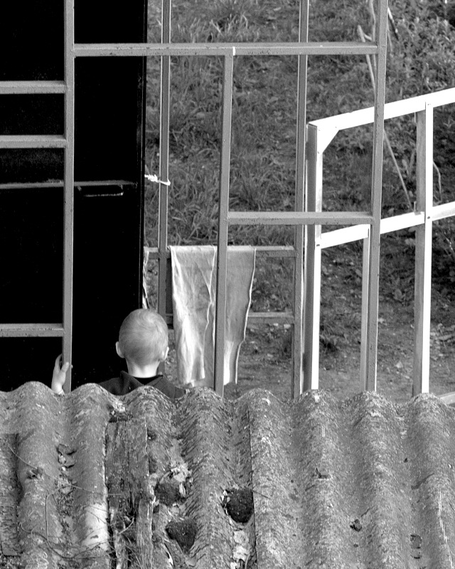 За решеткой