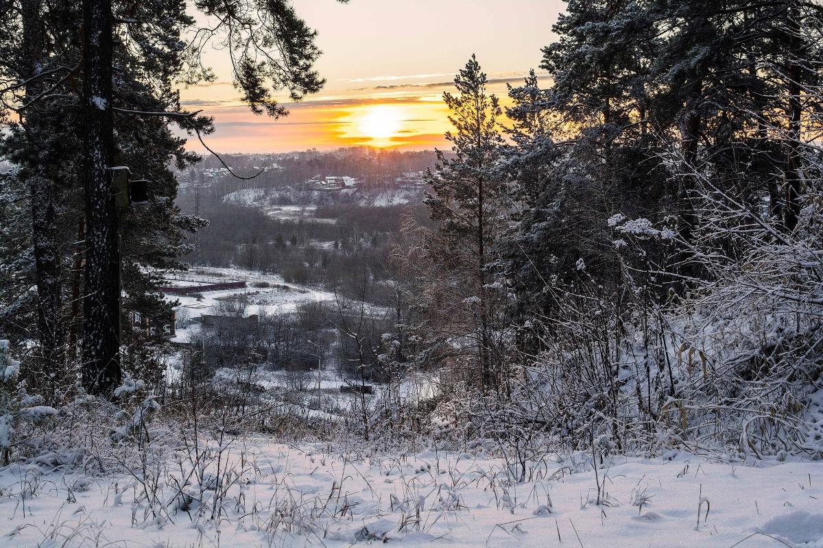 Утренние встречи!