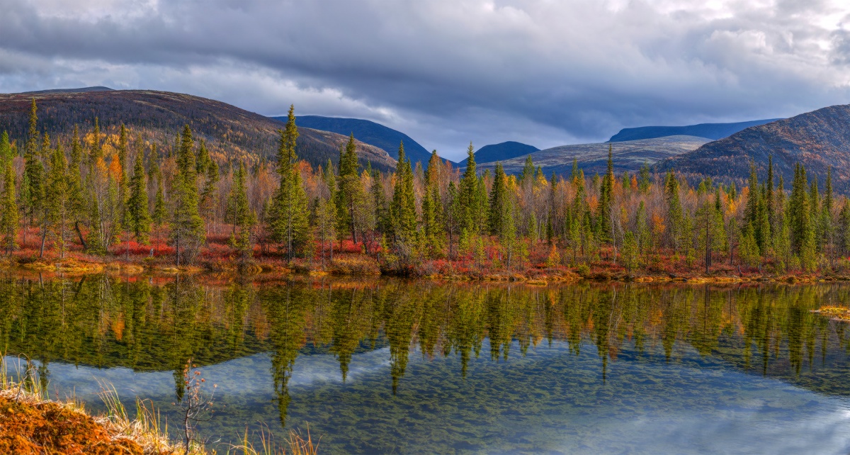 Прозрачное дно.