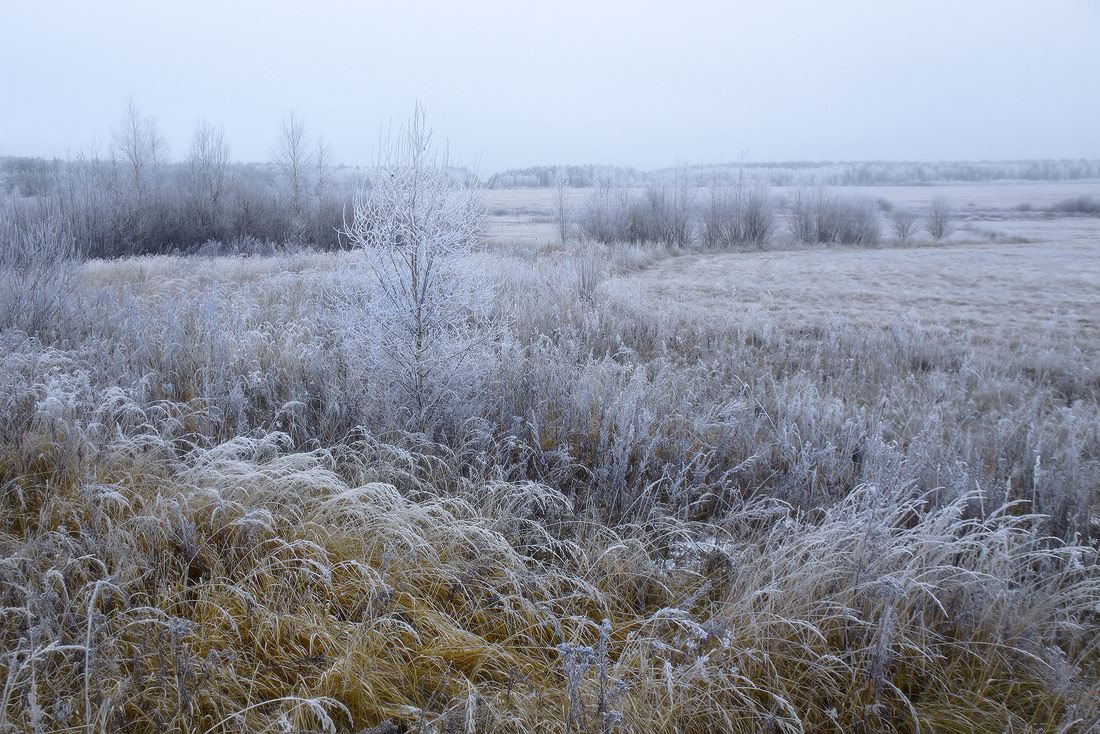 Седое утро ноября