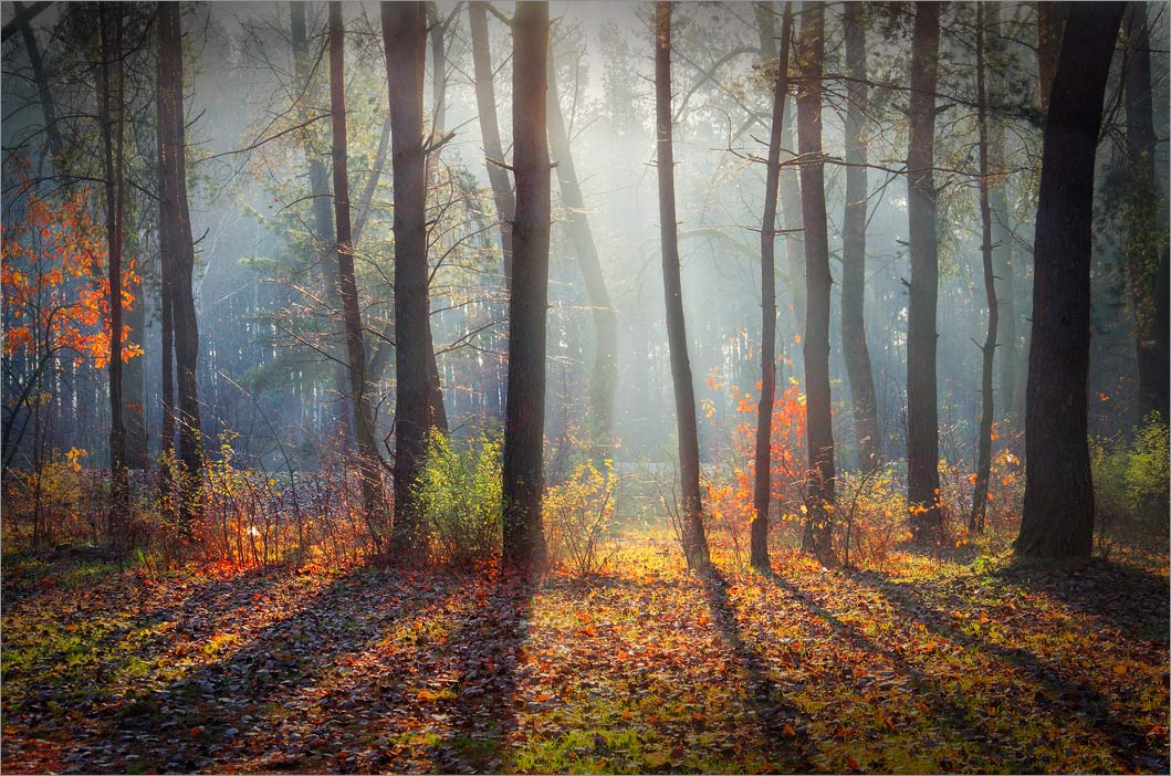 Последнее танго осени