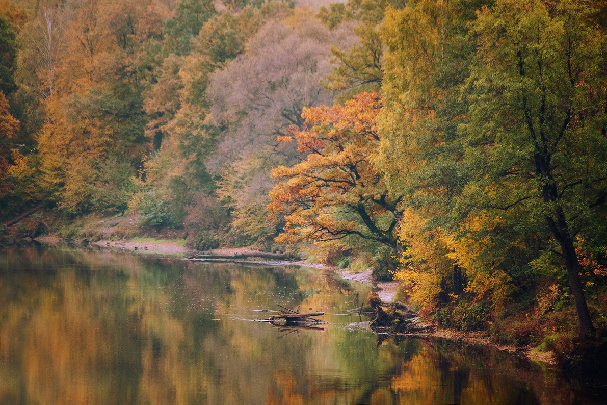 Осень на свислочи