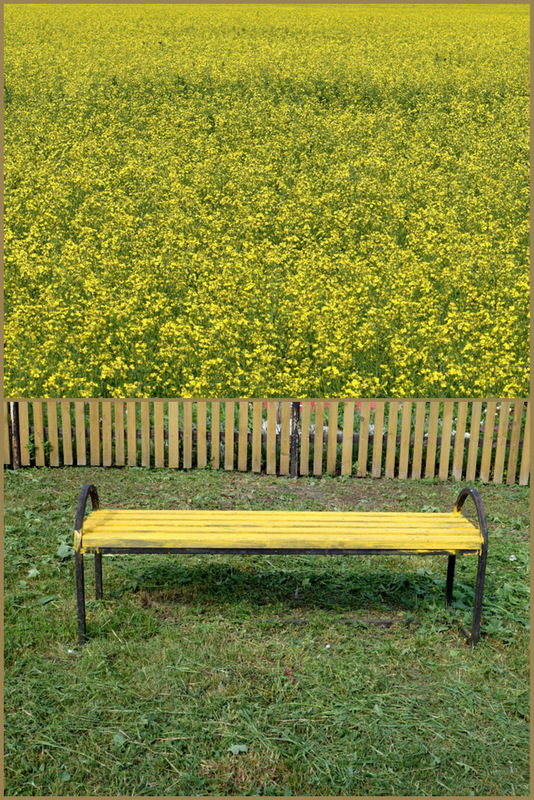 "Фотопазлы"