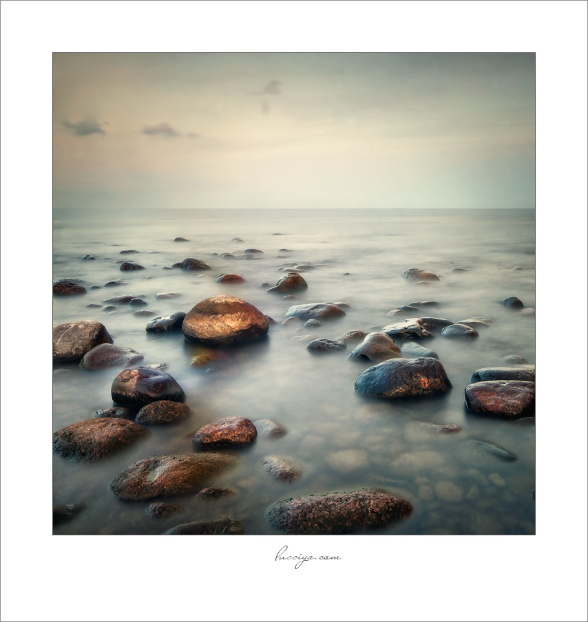 Кусочки солнца на камнях