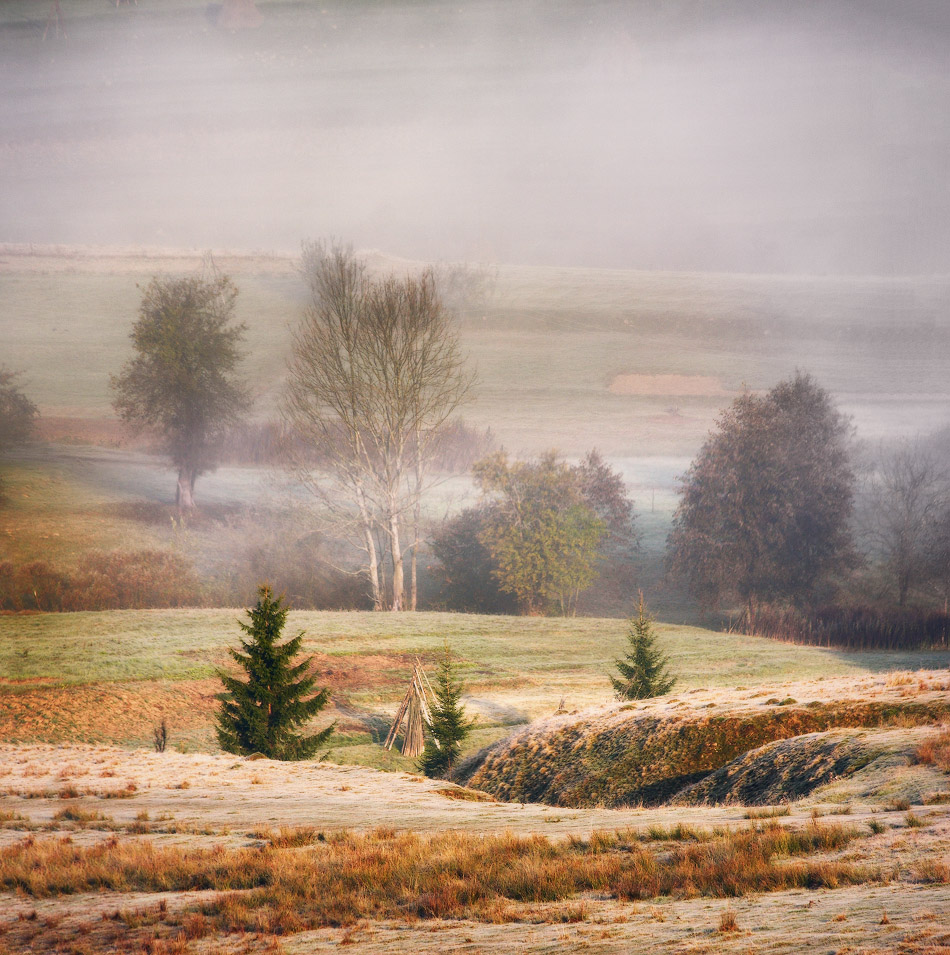Из карпатских архивов