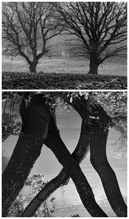 Фотопазлы. Модель для сборки