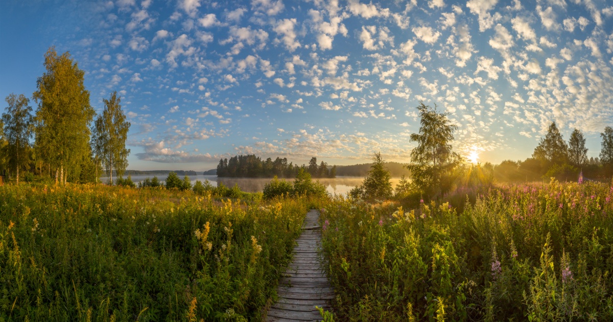 Навстречу лету!