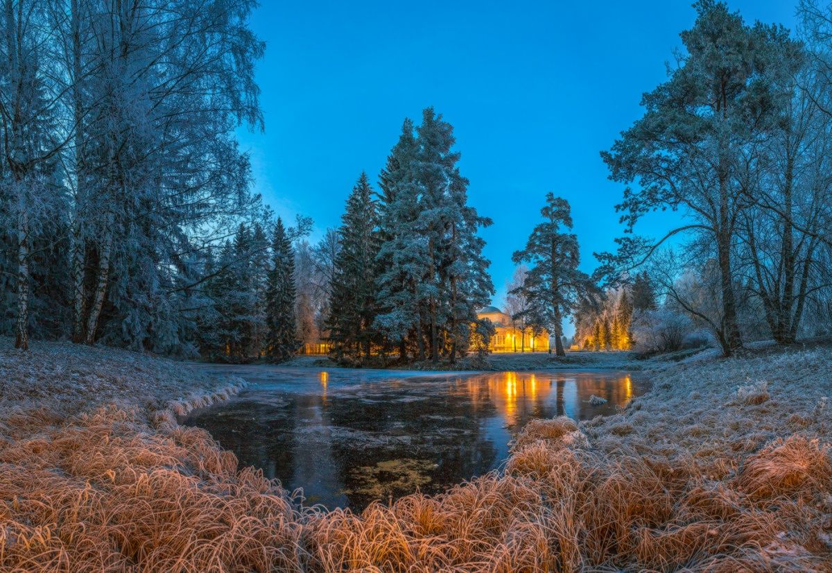 Маленький пруд в сумерках.