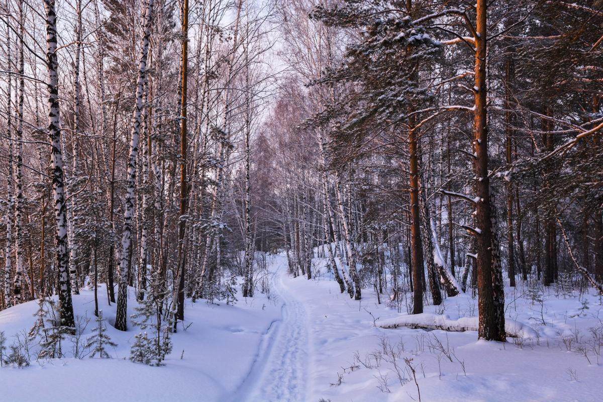 Утренние краски!