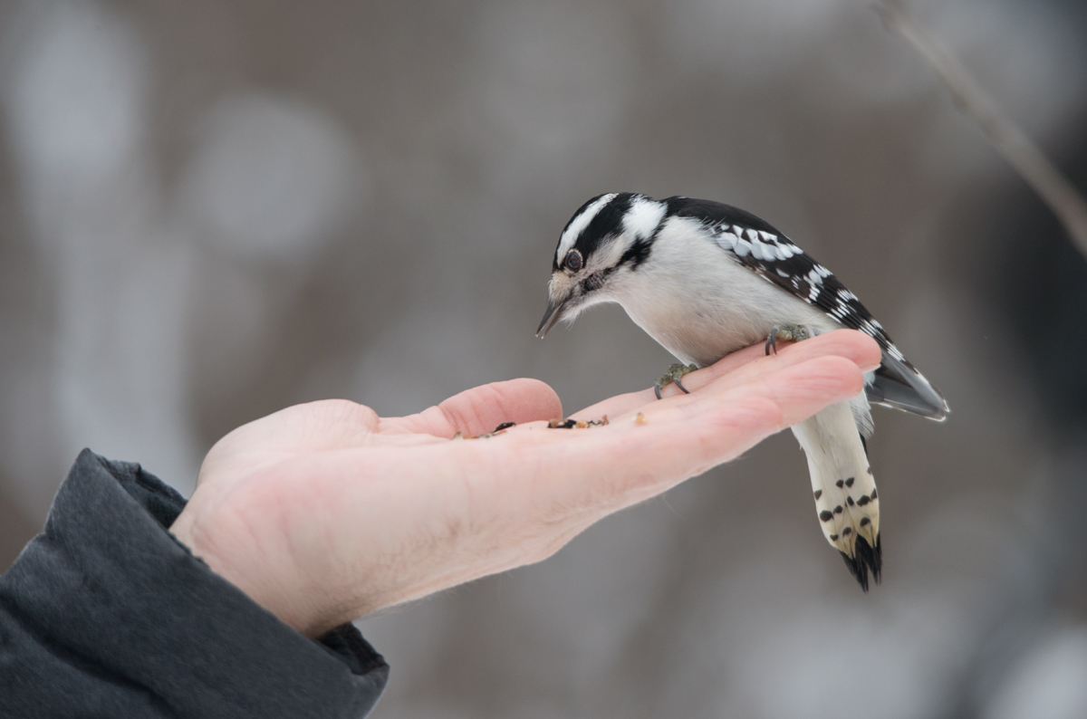 Let not scanty hand of yours ..