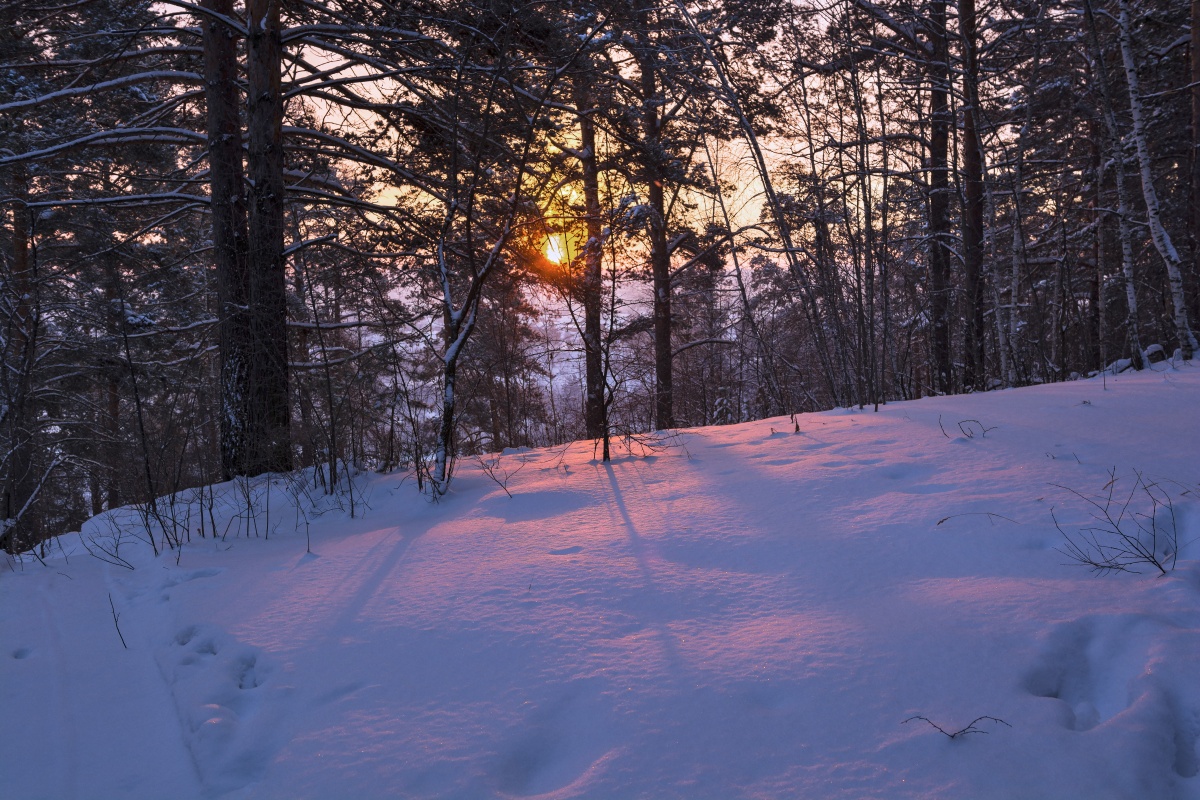 "Утренний свет"