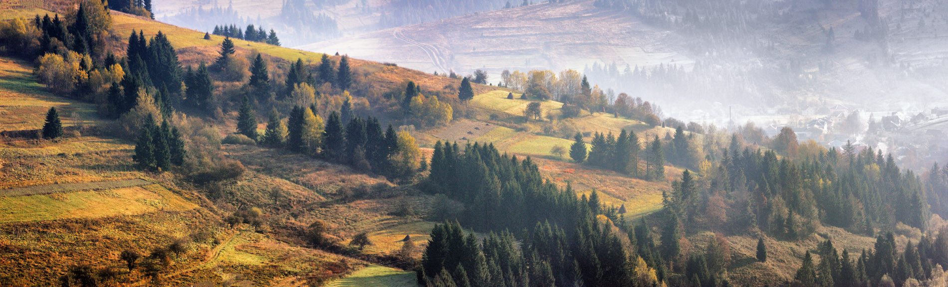 На пилипецких косогорах