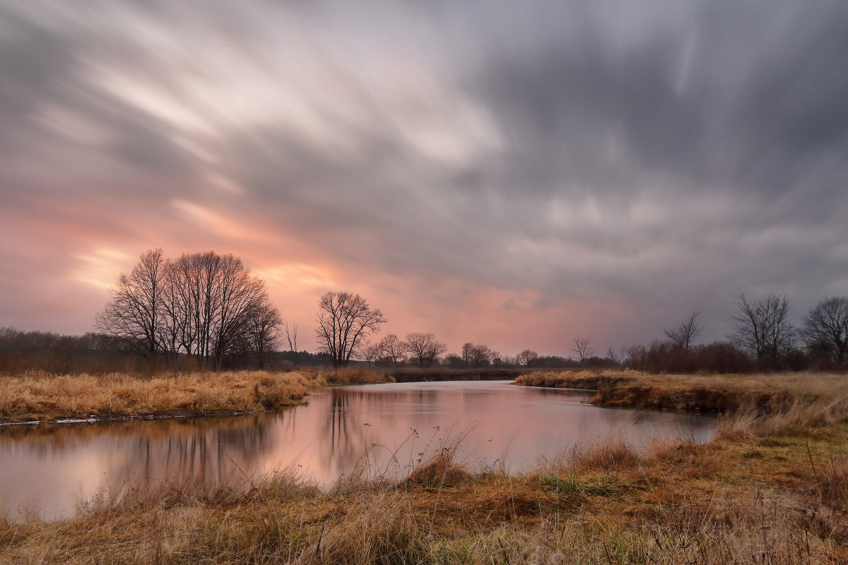 Перед декабрьским дождем