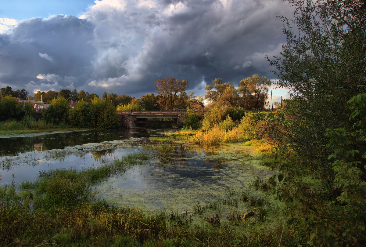 Солнечная заводь