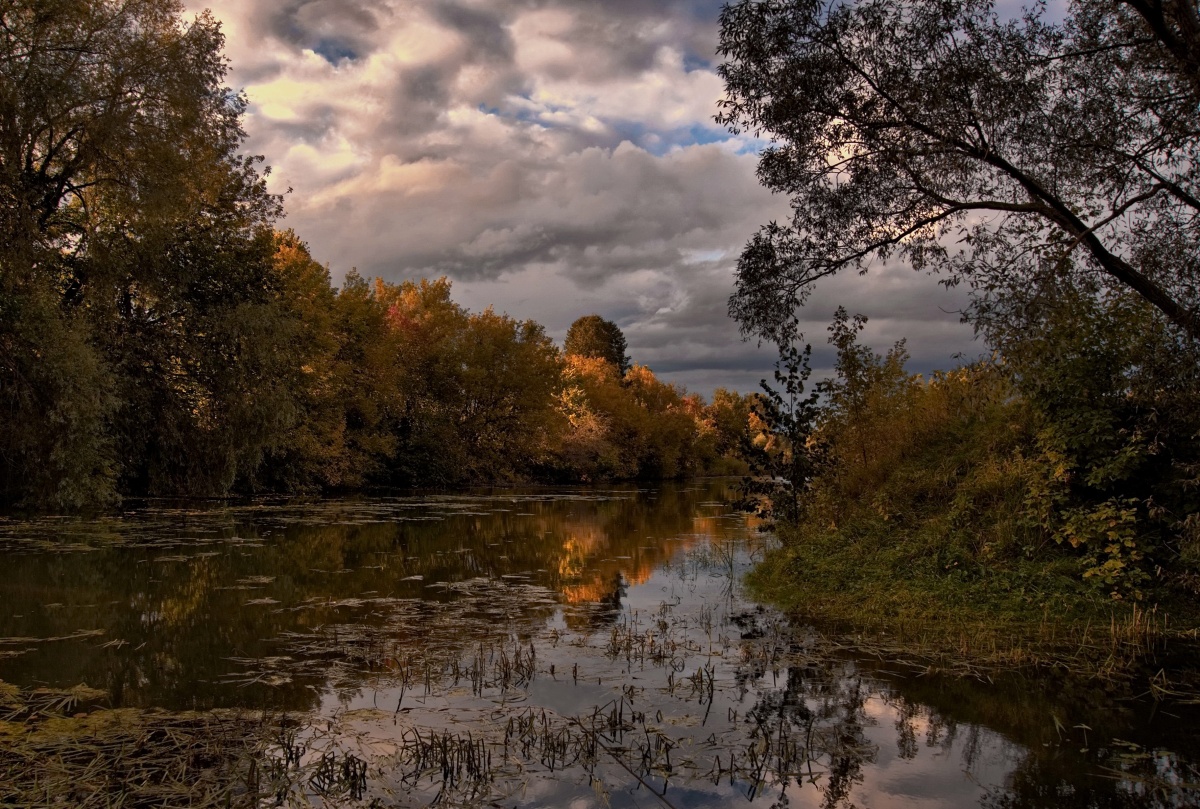 Осенняя позолота