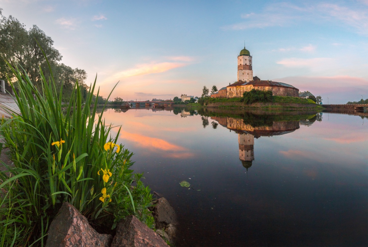 Ирисы и замок.
