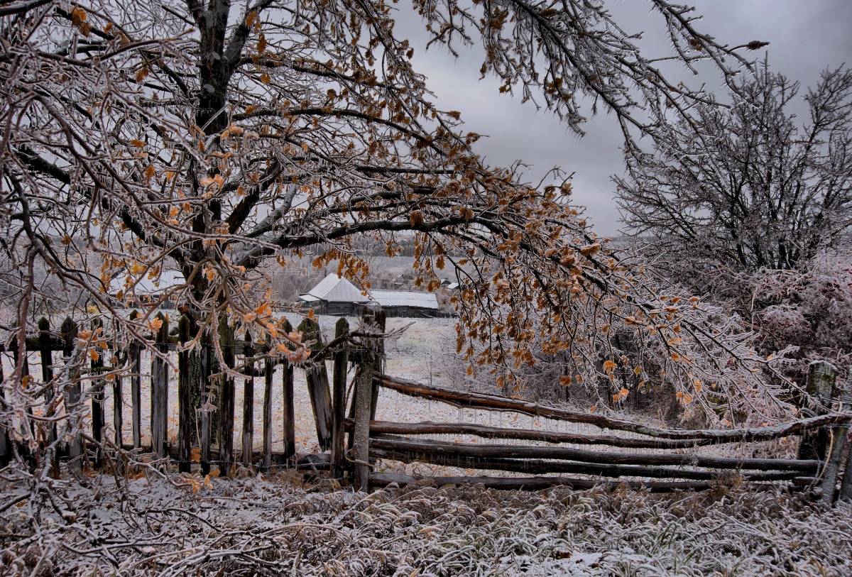 Параллельный мир