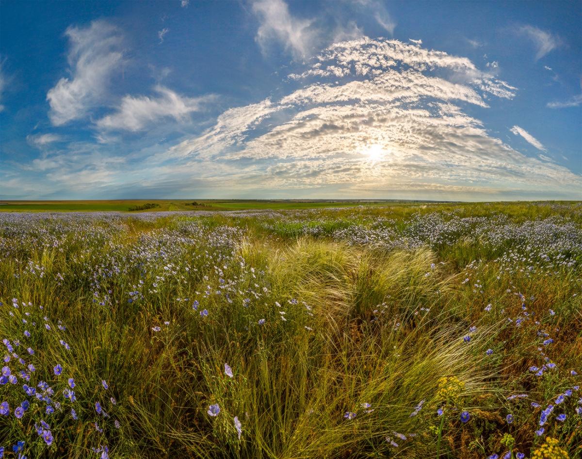 Степь весенняя.