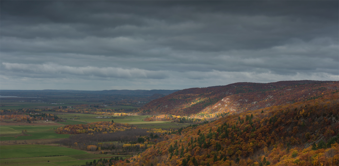 Transparent Autumn (@ Gatineau )