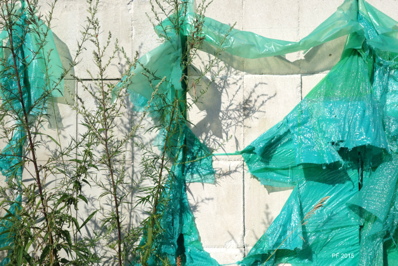 С наступающим Новым Годом!!!