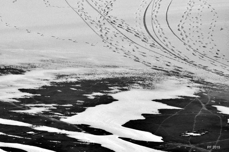 С Новым Годом !!!