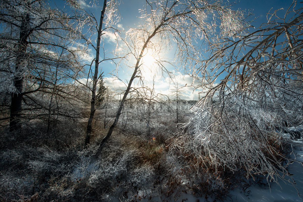 ...covered by ice glass