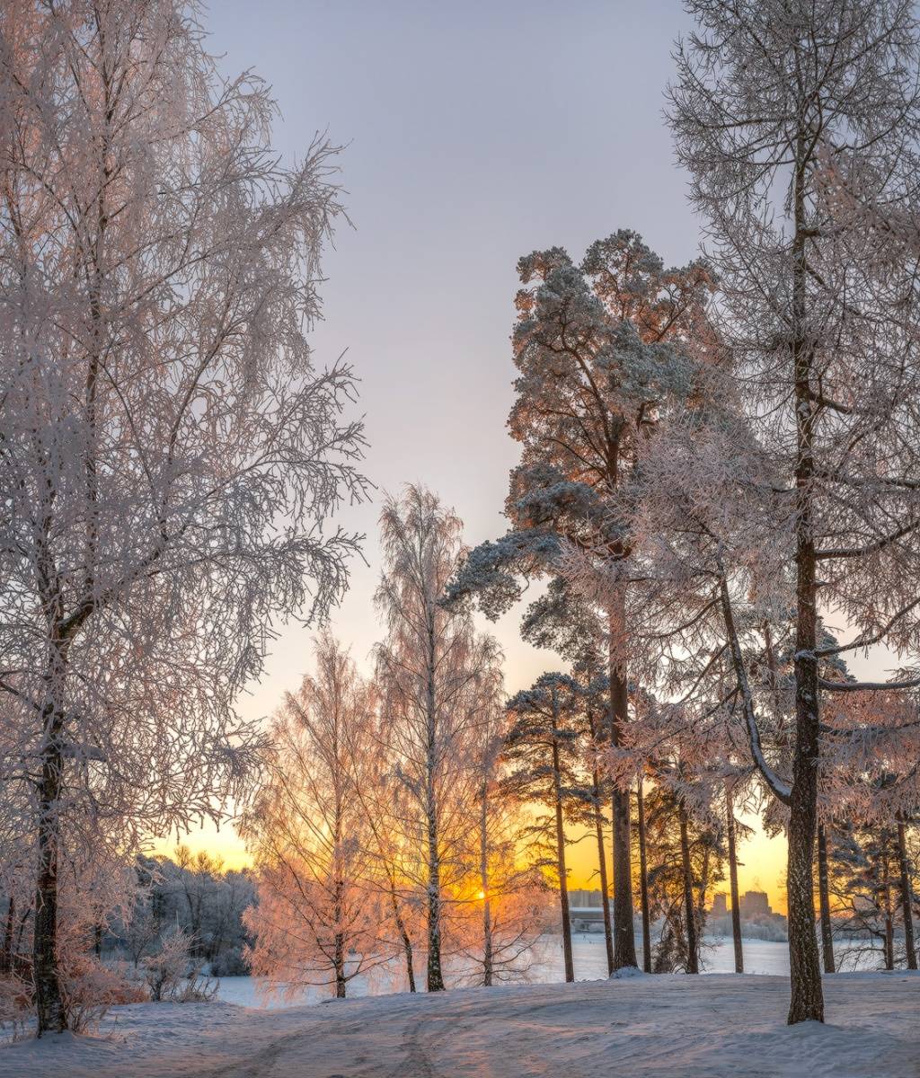 Иней на рассвете.
