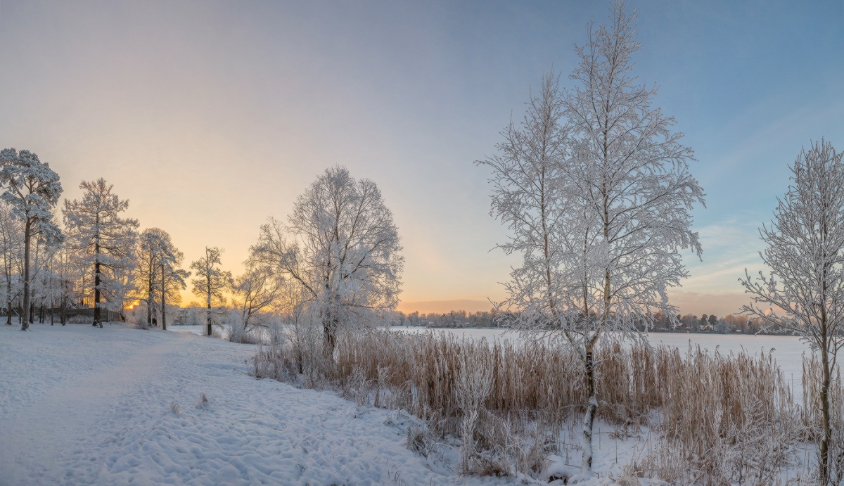 Нежность утра.