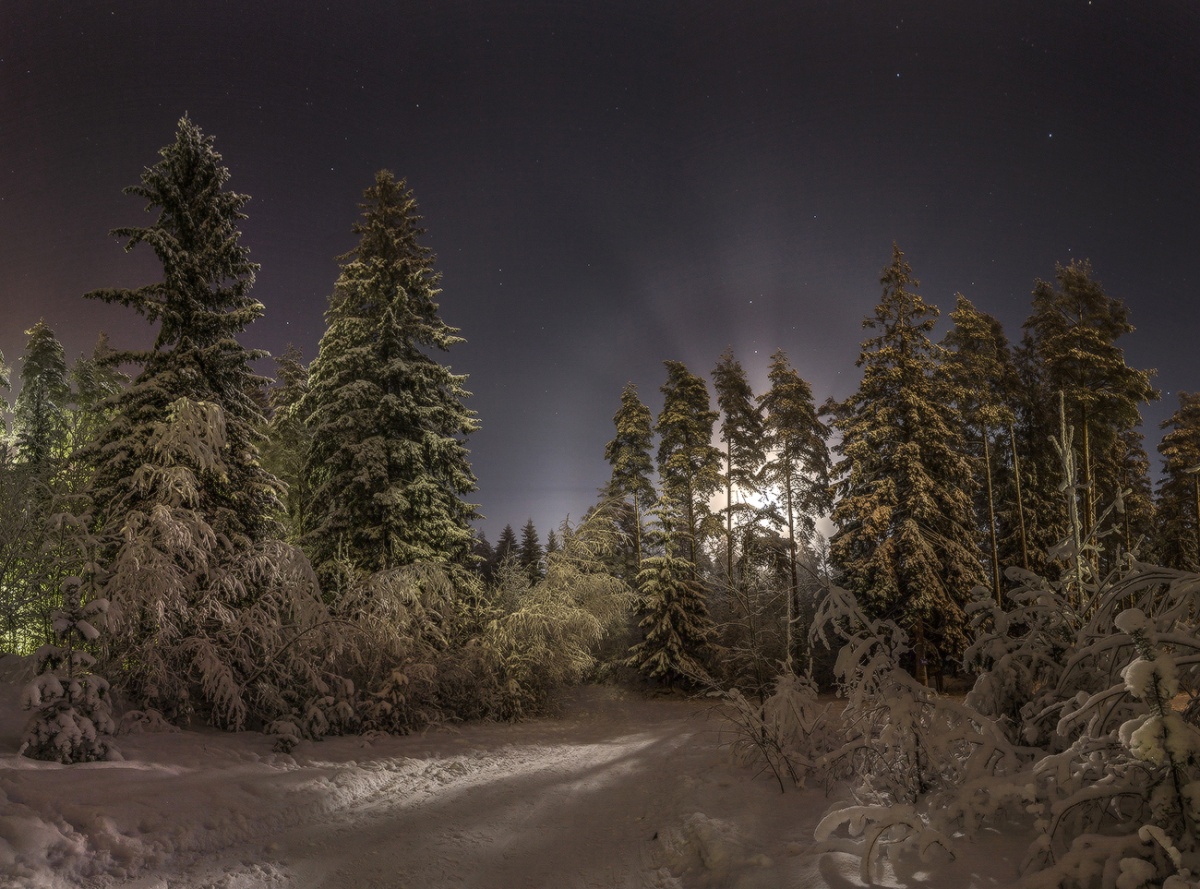 Ночь на Рождество.