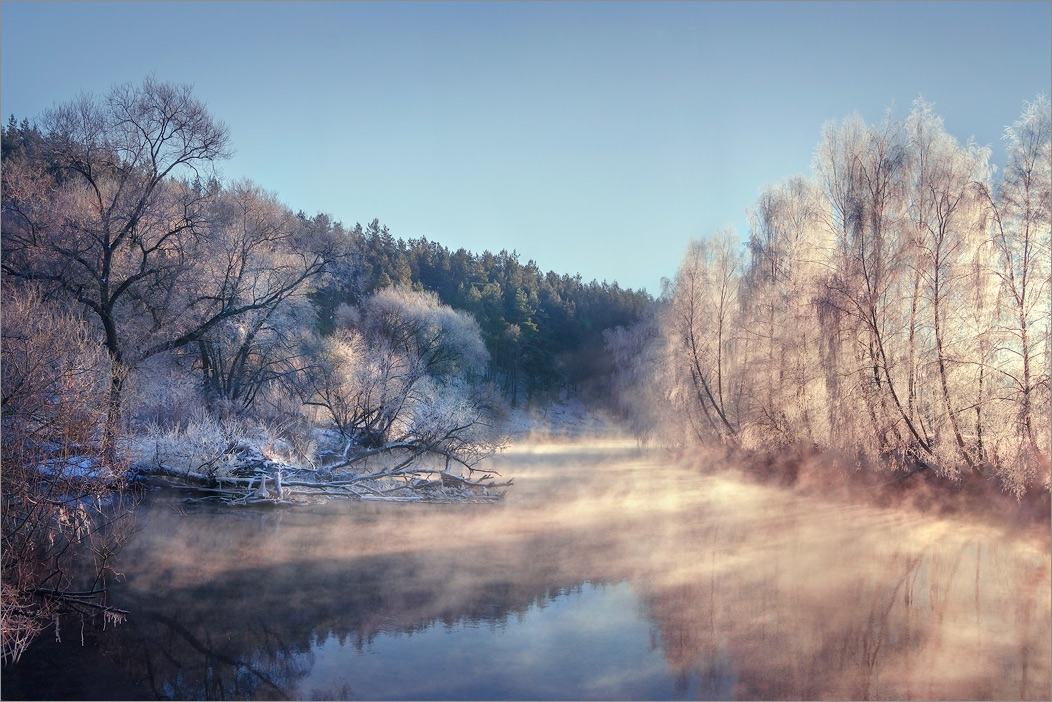 Серебро зимнего утра