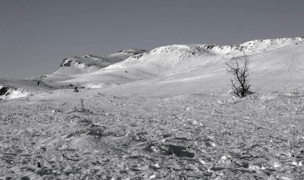 Верхнее плато Чатыр-Дага