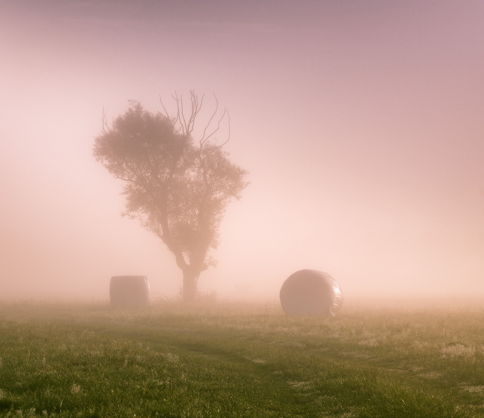 Полевая геометрия