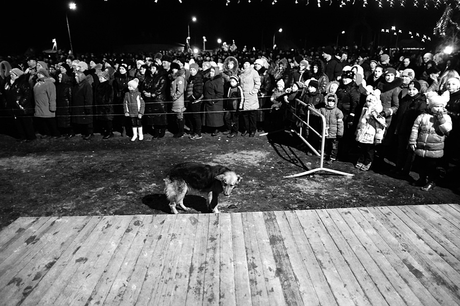 Собака, которая слушала...