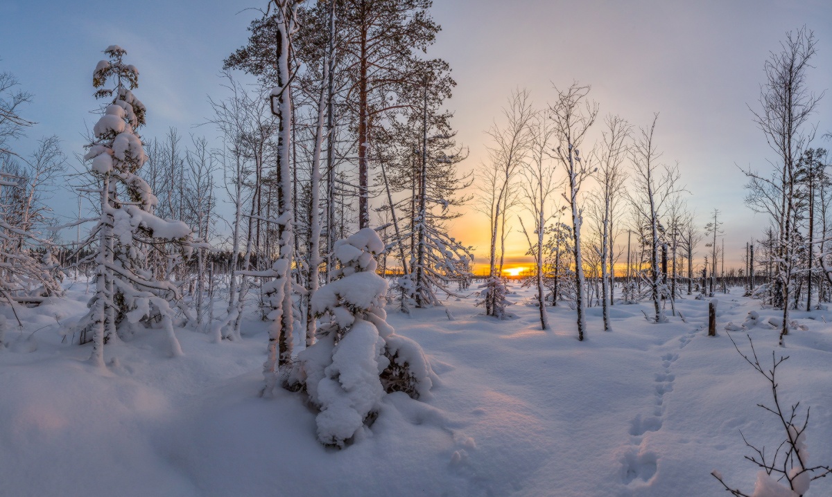 На краю болота.