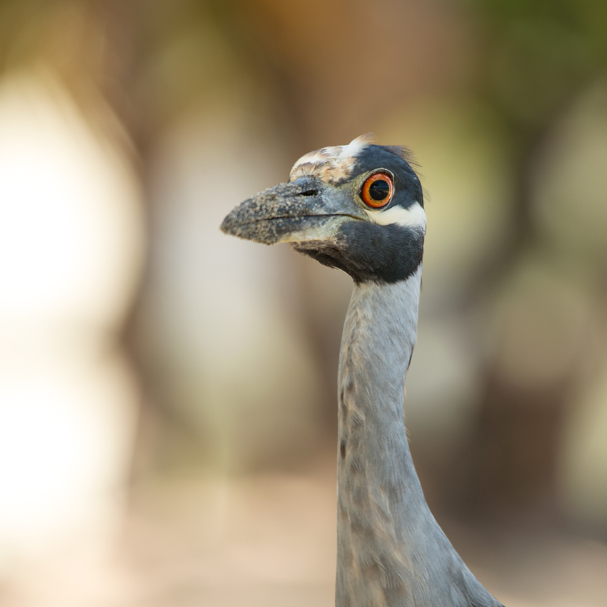 up close and personal