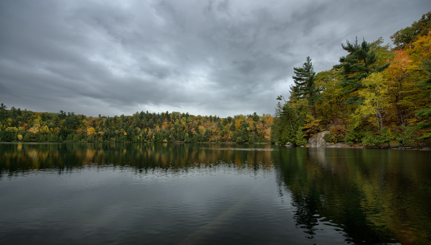 the log below surface