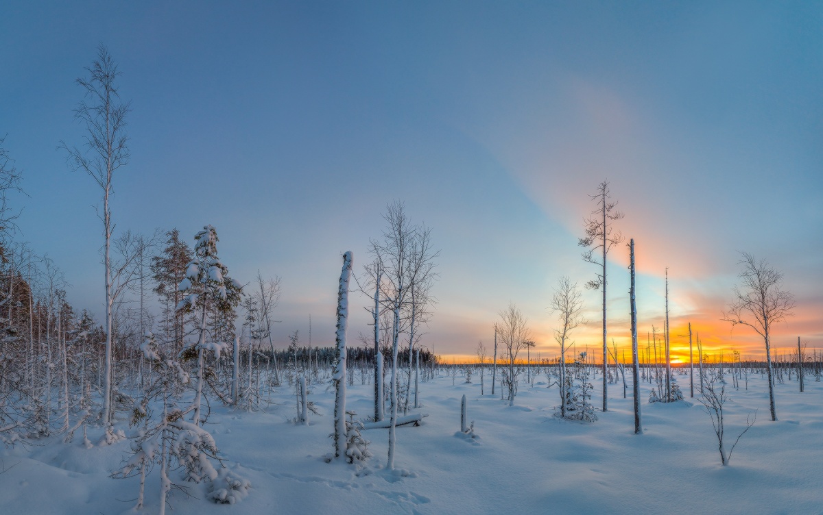 Болото зимой.