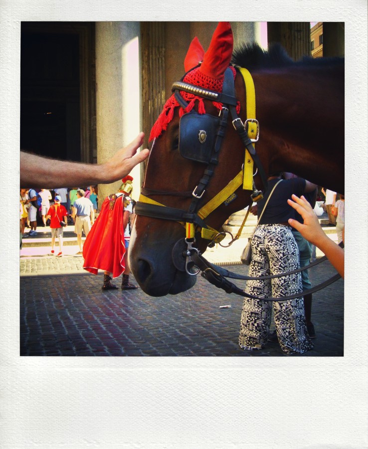 Когда над Москвой весна на дыбы