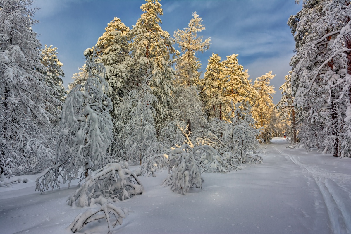 Зимний этюд