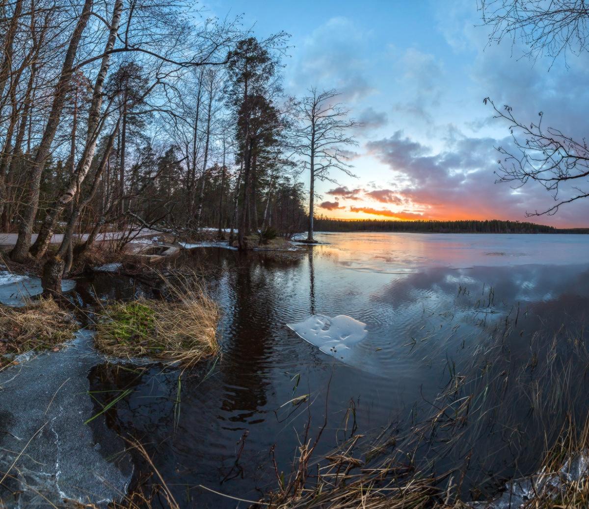 Оттепель на озере.