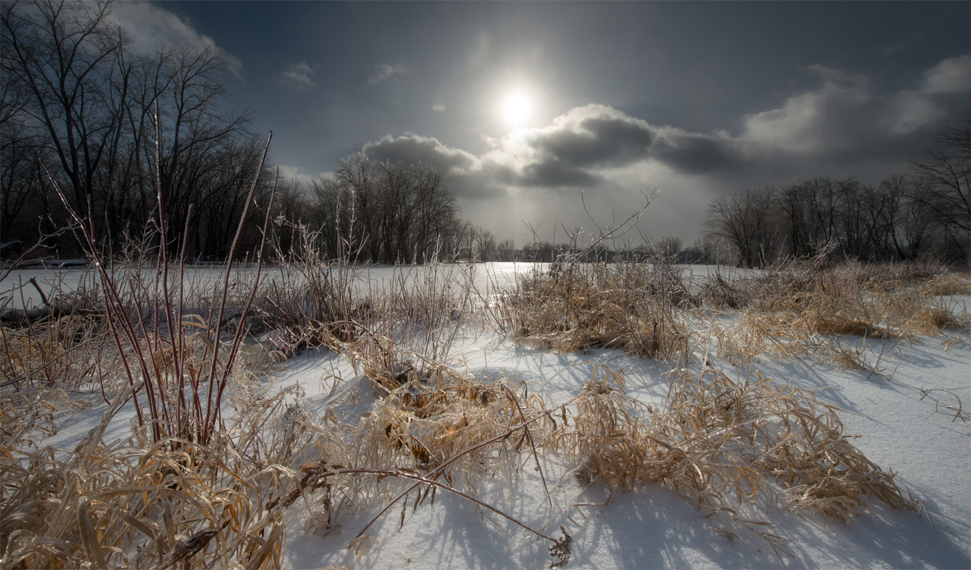 scorching Sun of January