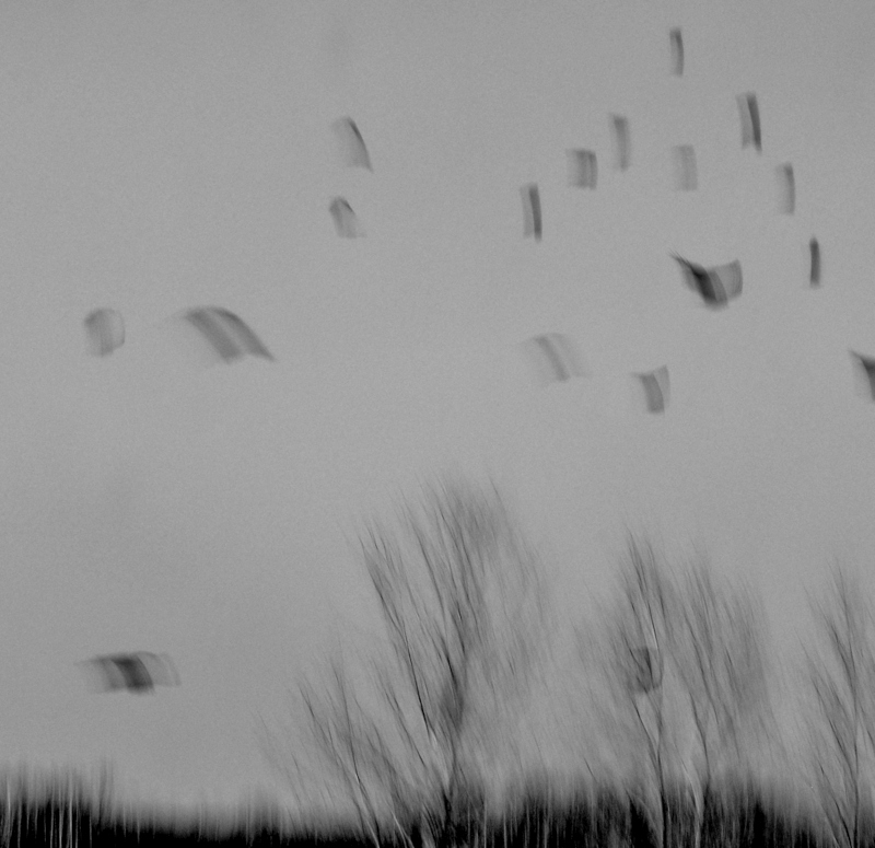 Эффект одувана