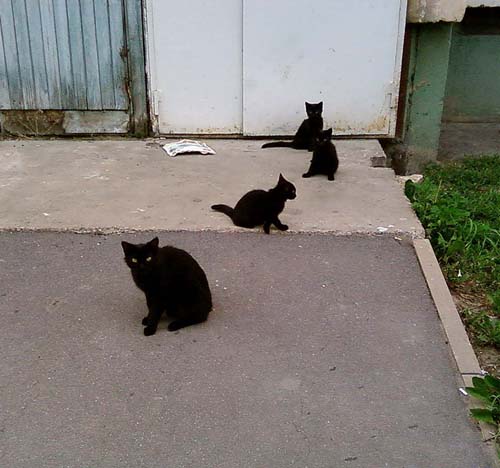 Эффект одувана