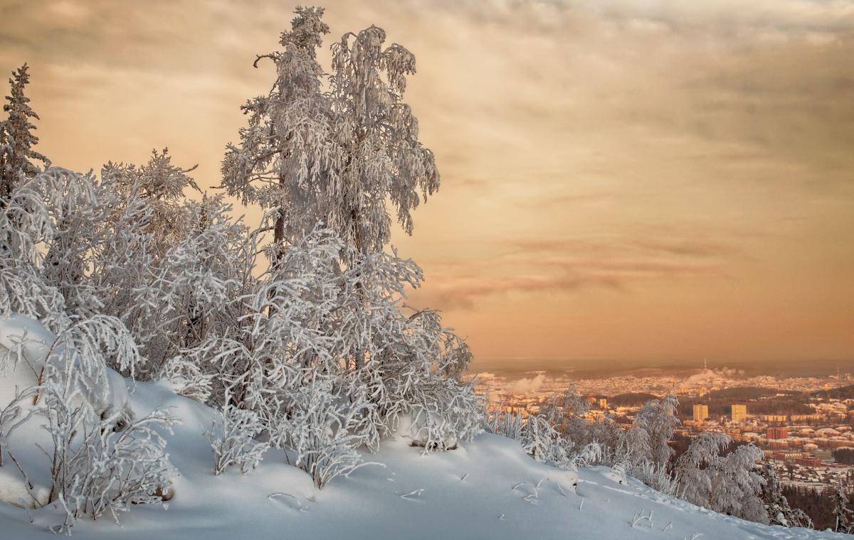 Зимний вечер