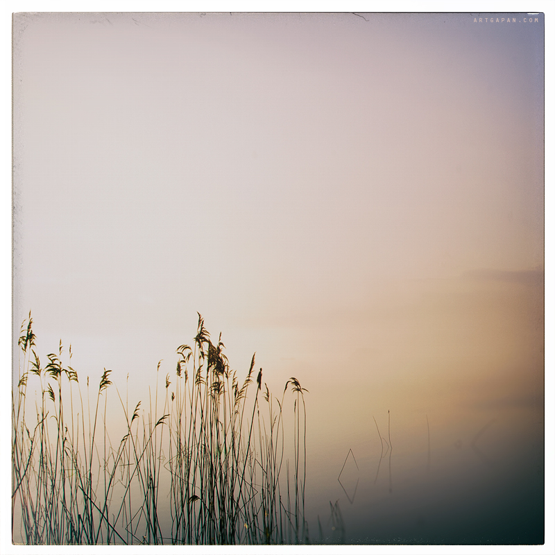 Looked their archives, played the guitar ...